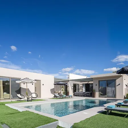 Lynx - Sculpted In Light & Nature By Etouri *