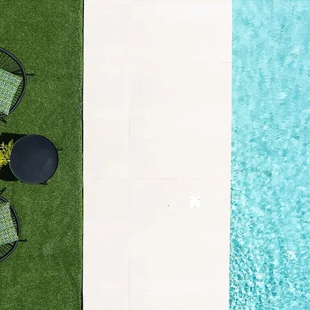 Lynx - Sculpted In Light & Nature By Etouri