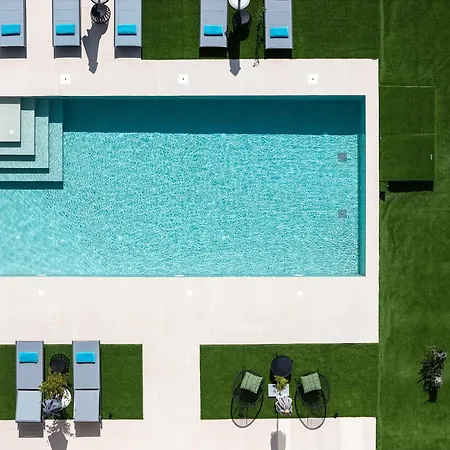 Lynx - Sculpted In Light & Nature By Etouri